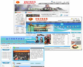 地方稅務(wù)局互聯(lián)網(wǎng)網(wǎng)站軟件開發(fā)與系統(tǒng)集成服務(wù) 賦能智慧稅務(wù)新生態(tài)