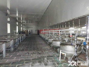 滄縣優(yōu)質(zhì)廠房與場(chǎng)地出租，助力食品加工與家具紙箱企業(yè)騰飛